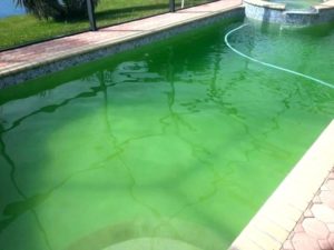 Phosphates In Pools Dallas